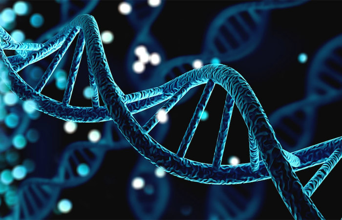 DNA helix.