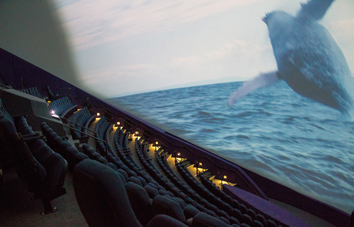 Inside the IMAX Dome Theater.